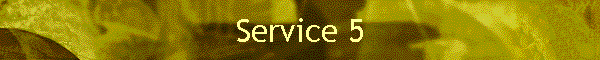 Service 5