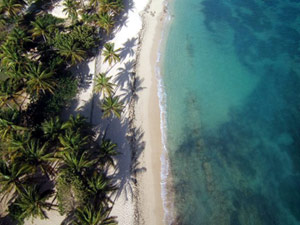 plage de l'autre bord guadeloupe location bungalow le moule 