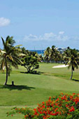 golf saint françois guadeloupe st francois location villa au bord du golf et du lagon 