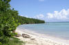 plage anse les mancenillier guadeloupe la coule saint franois