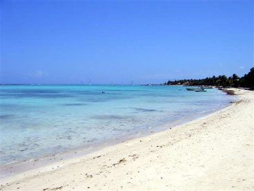 location villa devan tlaplage de l'anse des macenilliers  st francois guadeloupe plage la coule