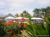 saint franois guadeloupe villa piscine